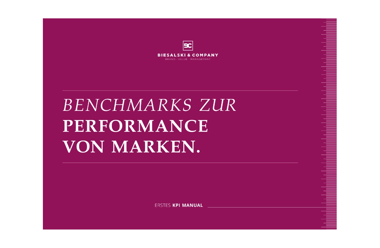 Markenperformance - Manual mit einzigartigen Insights