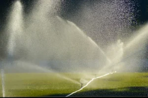Lawn sprinkler, watering can principle - budget allocation