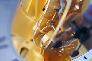 movement, gear wheel - brand management and brand controlling