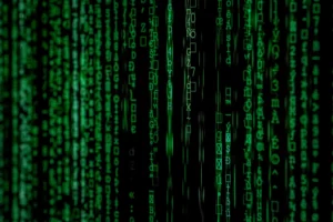 Data - Conjoint Analyse