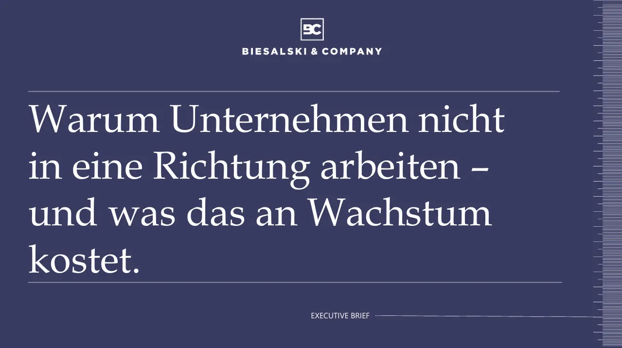 Organisation Silos überwinden - Titel Executive Brief